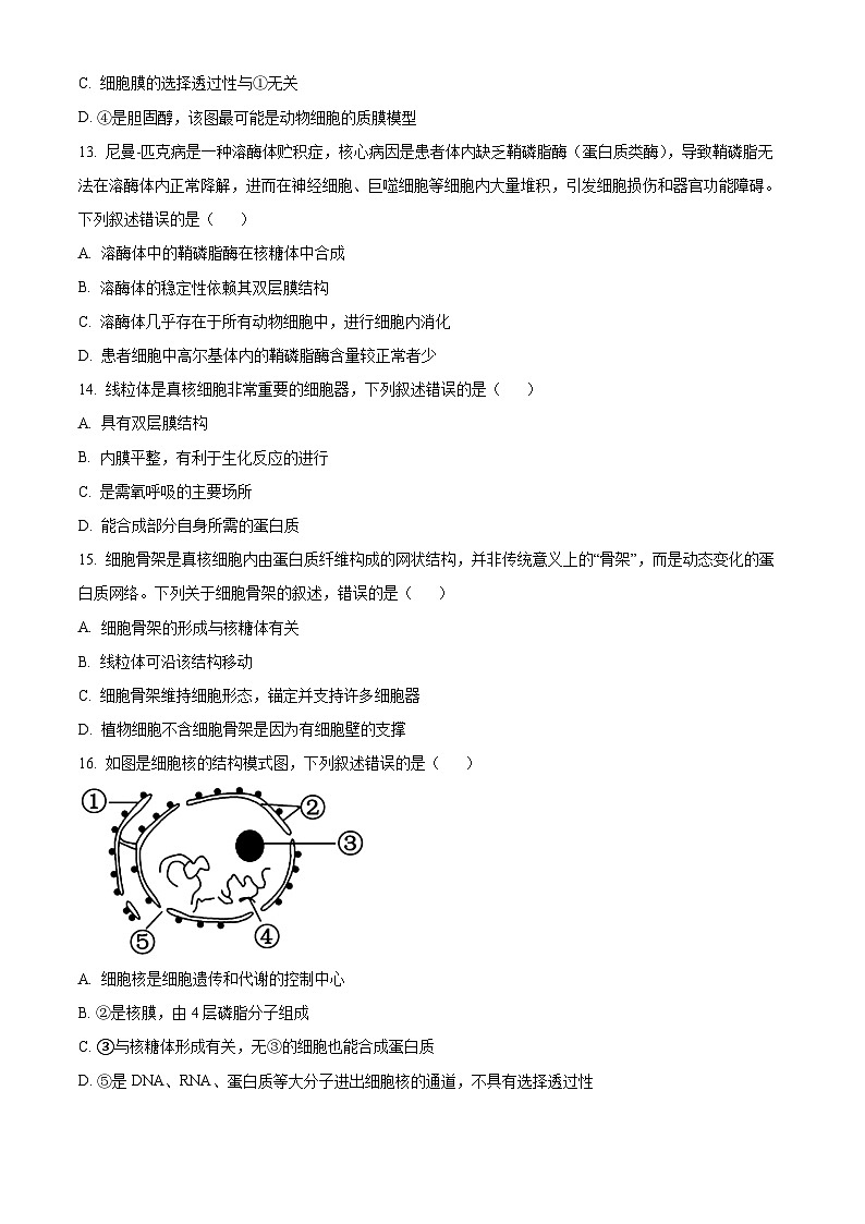 浙江省七彩阳光2025-2026学年高一上学期期中11月生物试卷  Word版无答案第3页