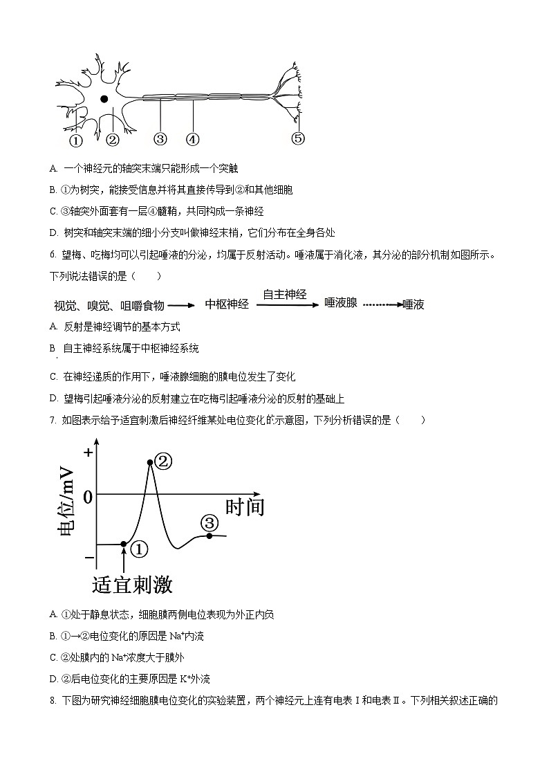 浙江省宁波三锋联盟2025-2026学年高二上学期11月期中生物试题  Word版无答案第2页