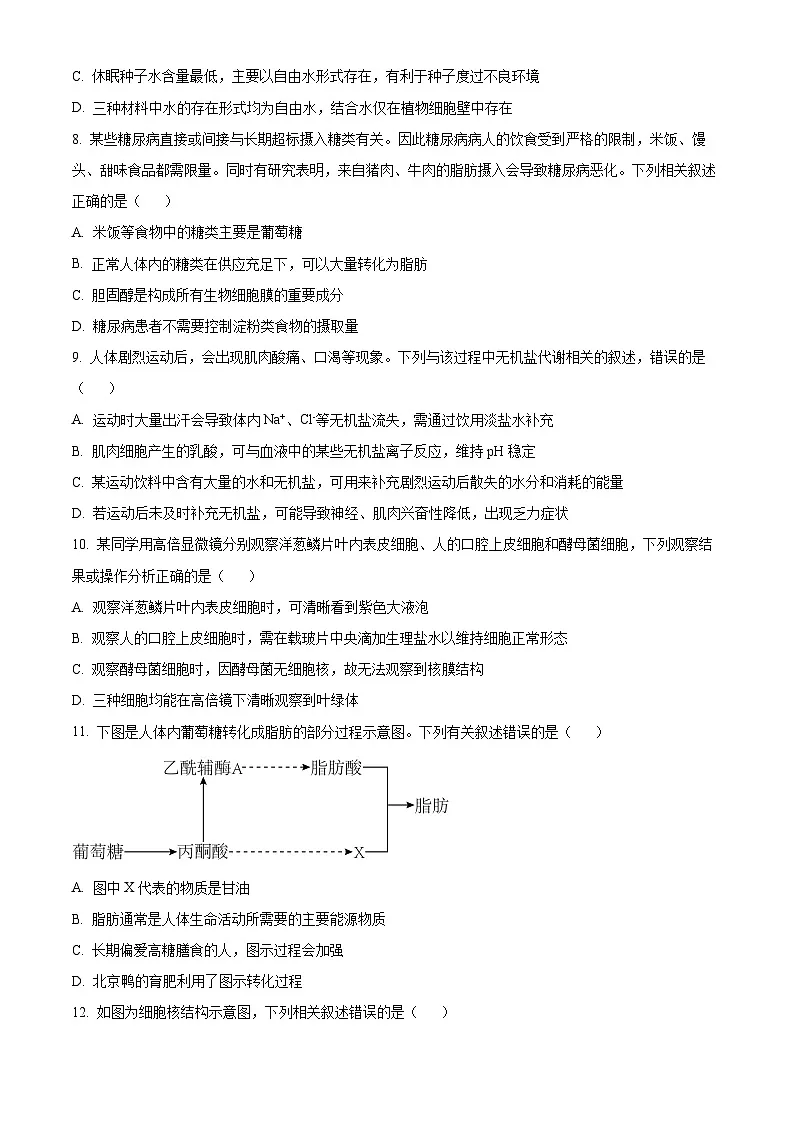浙江省宁波三锋联盟2025-2026学年高一上学期11月期中生物试题 Word版无答案第3页