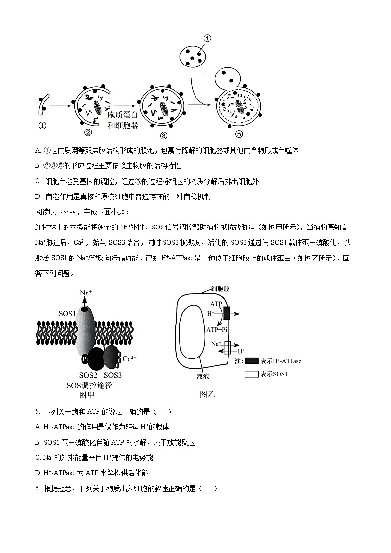 浙江省温州十校2025-2026学年高二上学期11月期中生物试题  Word版无答案第2页