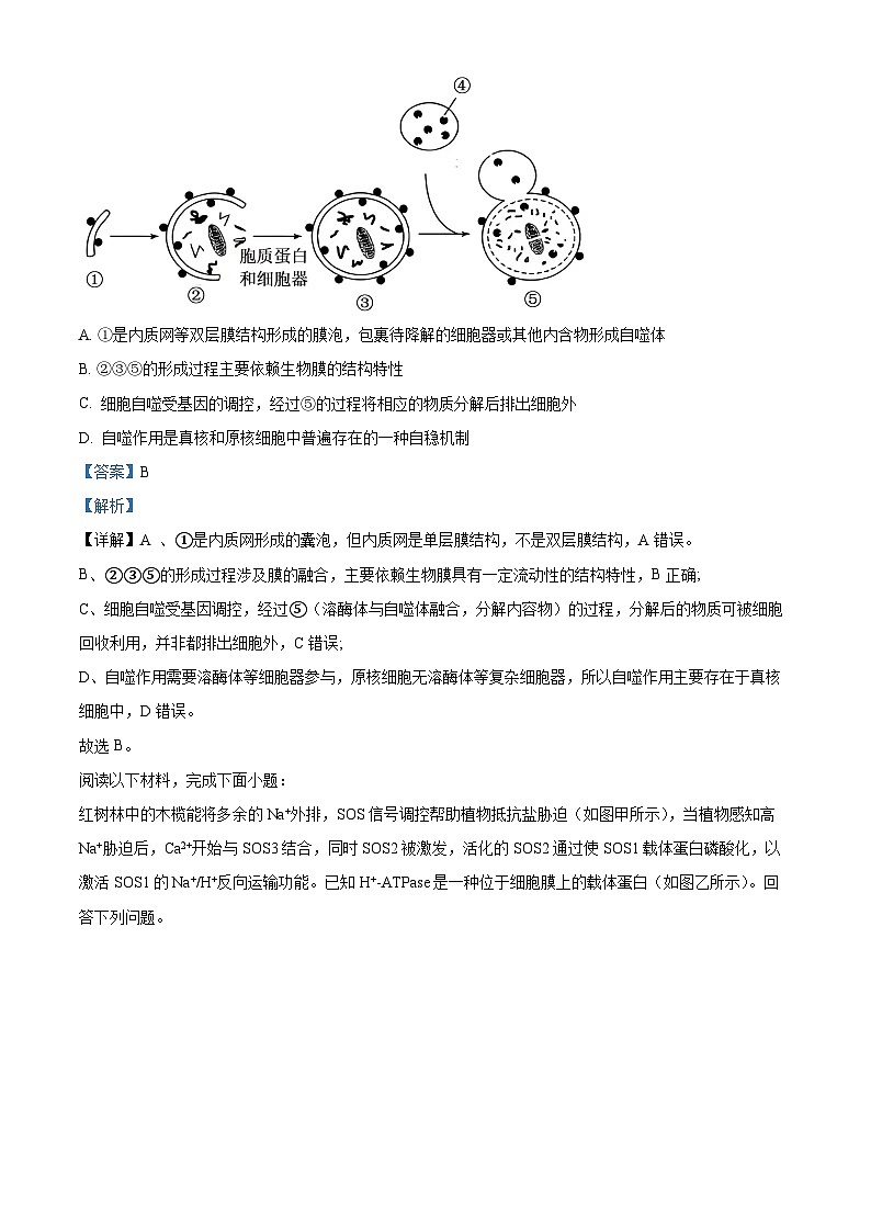 浙江省温州十校2025-2026学年高二上学期11月期中生物试题  Word版含解析第3页