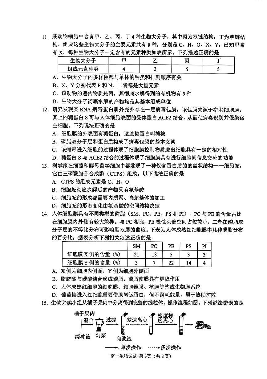 山东济宁市邹城市2025-2026学年高一上学期期中考试生物试题第3页