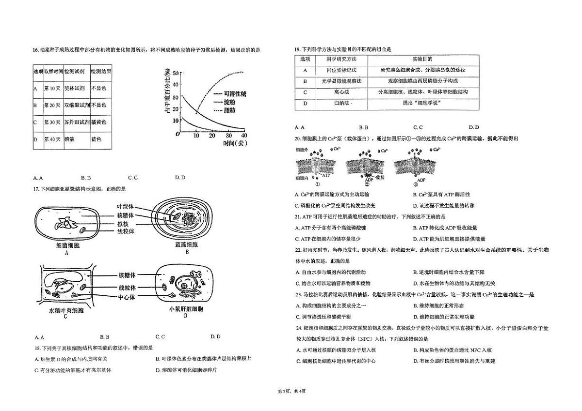 吉林省长春市汽车经济技术开发区第三中学2025-2026学年高一上学期11月期中生物试题第2页