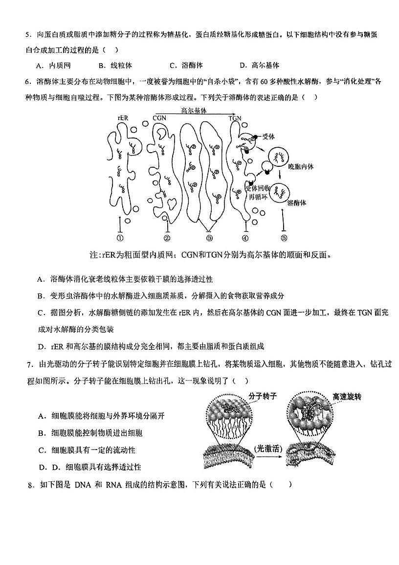 天津市南开区天津中学2025-2026学年高一上学期期中考试生物试卷第2页