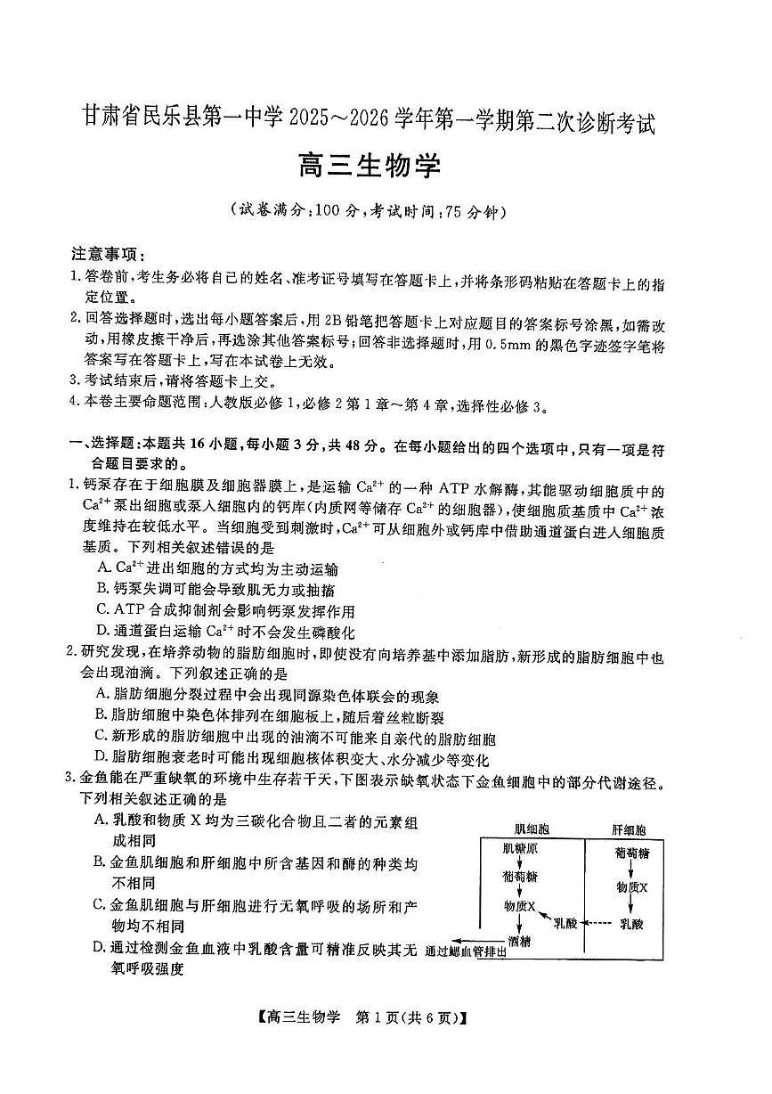 甘肃省张掖市民乐县第一中学2025-2026学年高三上学期第二次诊断考试生物试卷（月考）第1页
