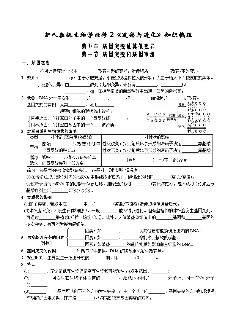 第5章 基因突变及其他变异-【必背知识】高一生物章节知识清单（人教版必修2）（填空版）第1页