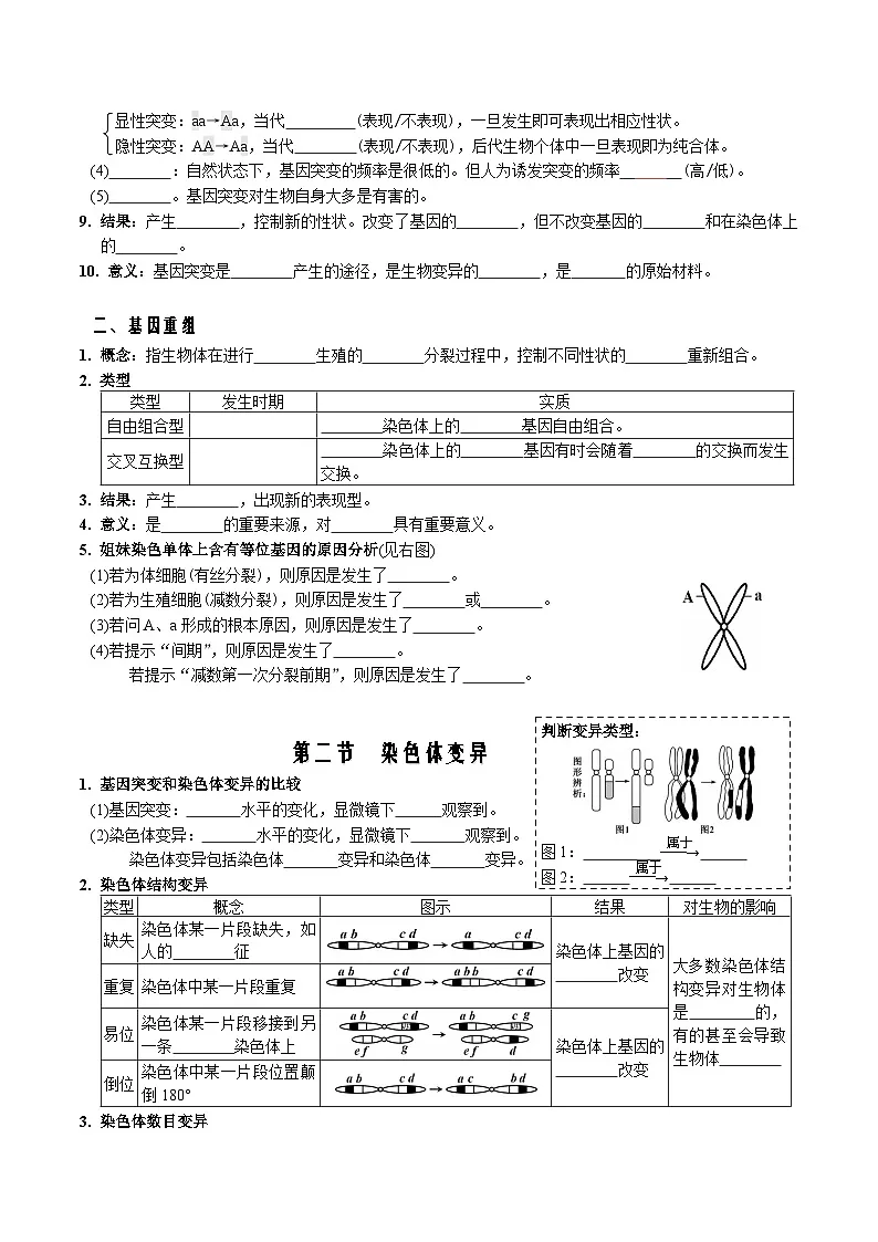 第5章 基因突变及其他变异-【必背知识】高一生物章节知识清单（人教版必修2）（填空版）第2页