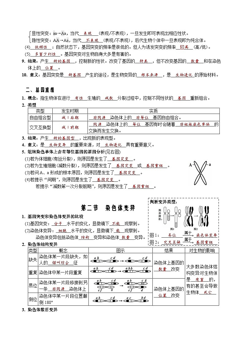 第5章 基因突变及其他变异-【必背知识】高一生物章节知识清单（人教版必修2）（背诵版）第2页