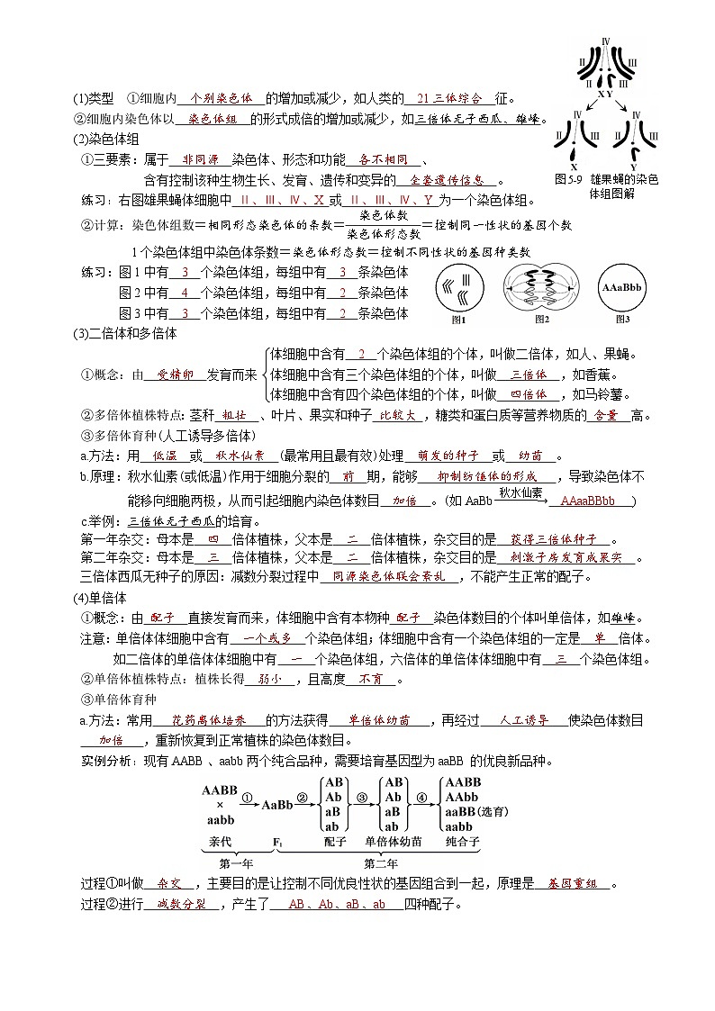 第5章 基因突变及其他变异-【必背知识】高一生物章节知识清单（人教版必修2）（背诵版）第3页