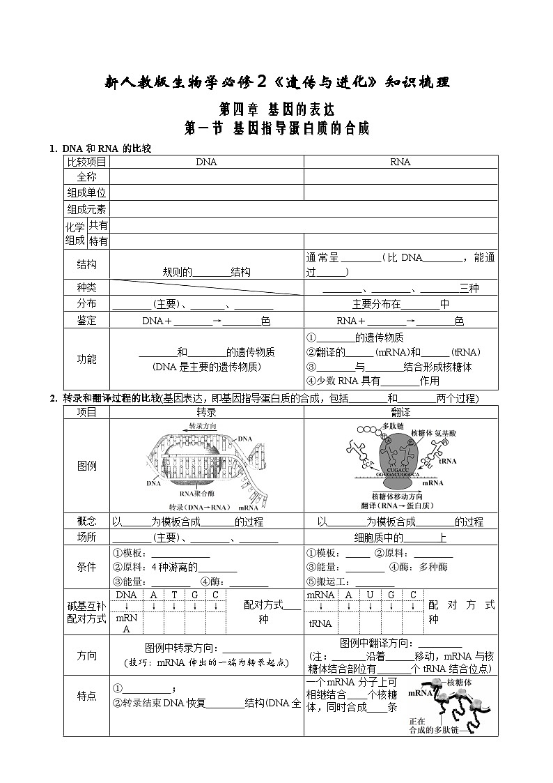 第4章 基因的表达-【必背知识】高一生物章节知识清单（人教版必修2）（填空版）第1页