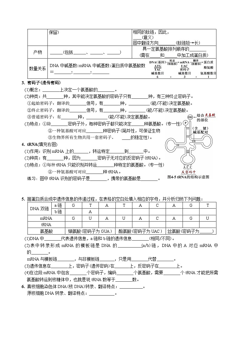 第4章 基因的表达-【必背知识】高一生物章节知识清单（人教版必修2）（填空版）第2页