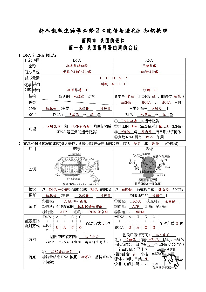 第4章 基因的表达-【必背知识】高一生物章节知识清单（人教版必修2）（背诵版）第1页