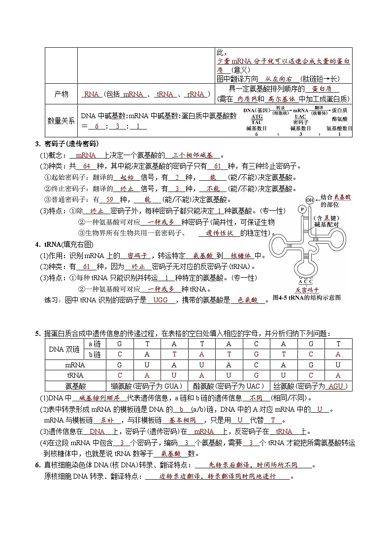 第4章 基因的表达-【必背知识】高一生物章节知识清单（人教版必修2）（背诵版）第2页