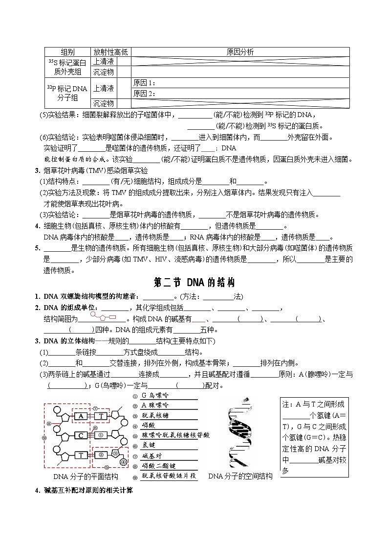 第3章 基因的本质-【必背知识】高一生物章节知识清单（人教版必修2）（填空版）第2页