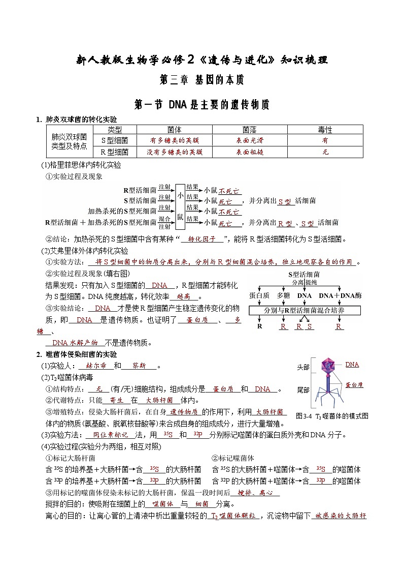第3章 基因的本质-【必背知识】高一生物章节知识清单（人教版必修2）（背诵版）第1页