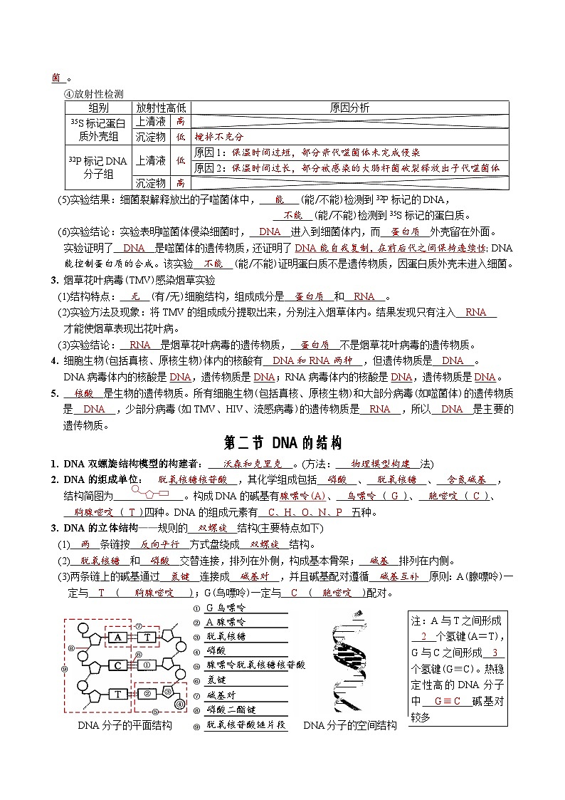 第3章 基因的本质-【必背知识】高一生物章节知识清单（人教版必修2）（背诵版）第2页