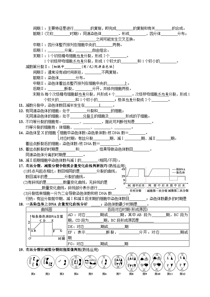 第2章 基因和染色体的关系-【必背知识】高一生物章节知识清单（人教版必修2）（填空版）第2页