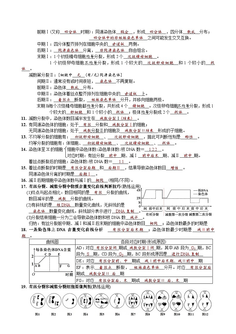 第2章 基因和染色体的关系-【必背知识】高一生物章节知识清单（人教版必修2）（背诵版）第2页