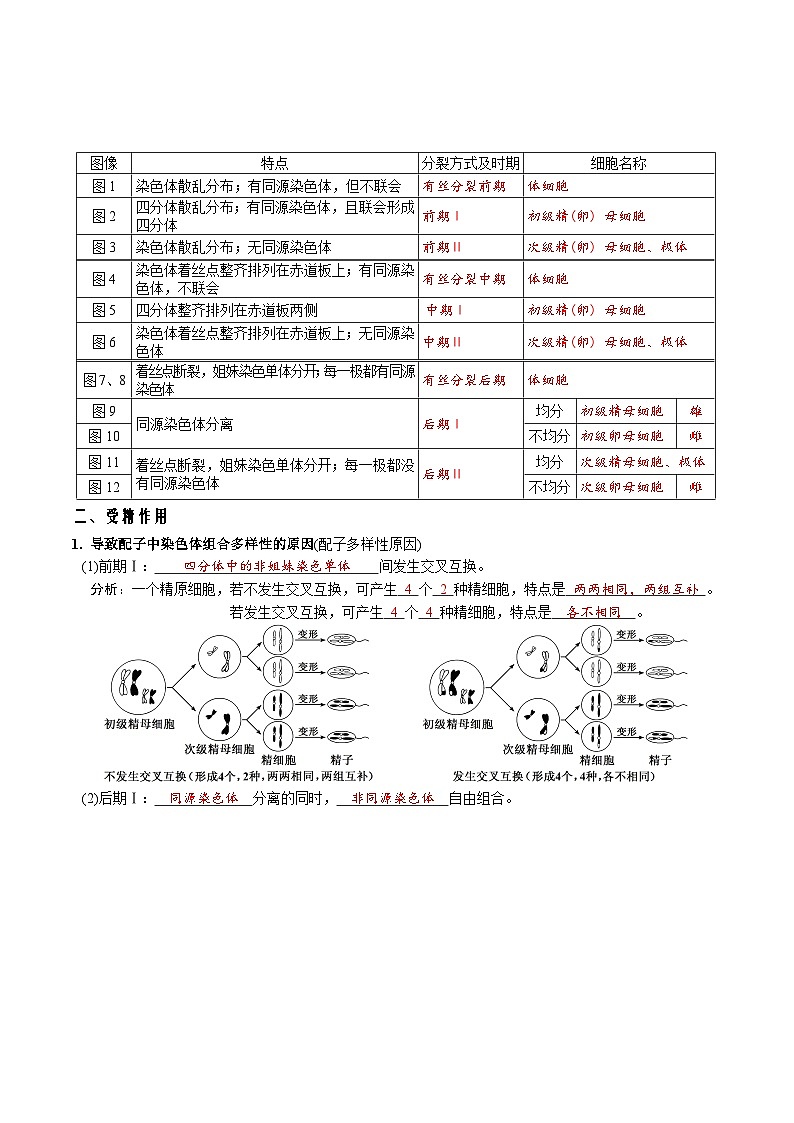 第2章 基因和染色体的关系-【必背知识】高一生物章节知识清单（人教版必修2）（背诵版）第3页