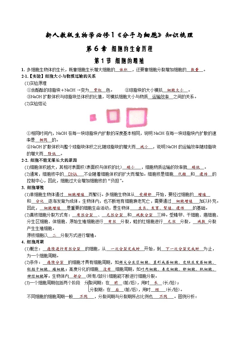 第6章 细胞的生命历程-【必背知识】高一生物章节知识梳理（人教版必修第一册）（背诵版）第1页