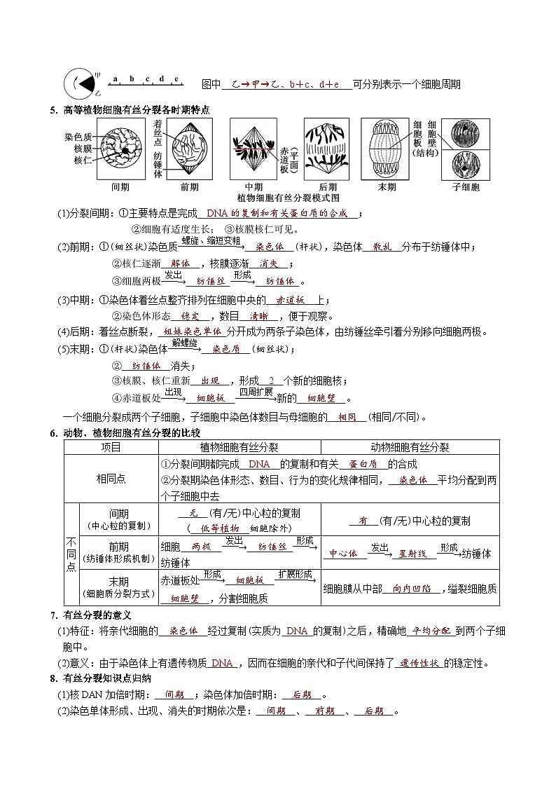 第6章 细胞的生命历程-【必背知识】高一生物章节知识梳理（人教版必修第一册）（背诵版）第2页