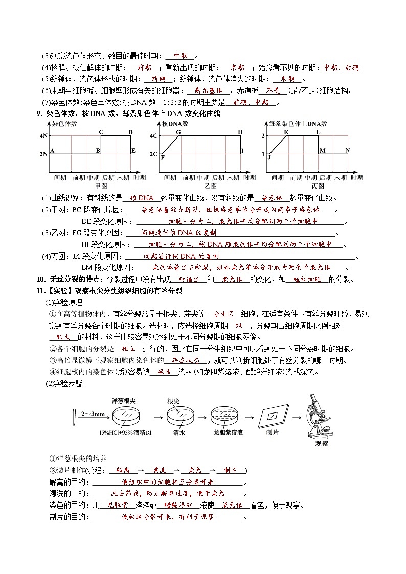 第6章 细胞的生命历程-【必背知识】高一生物章节知识梳理（人教版必修第一册）（背诵版）第3页