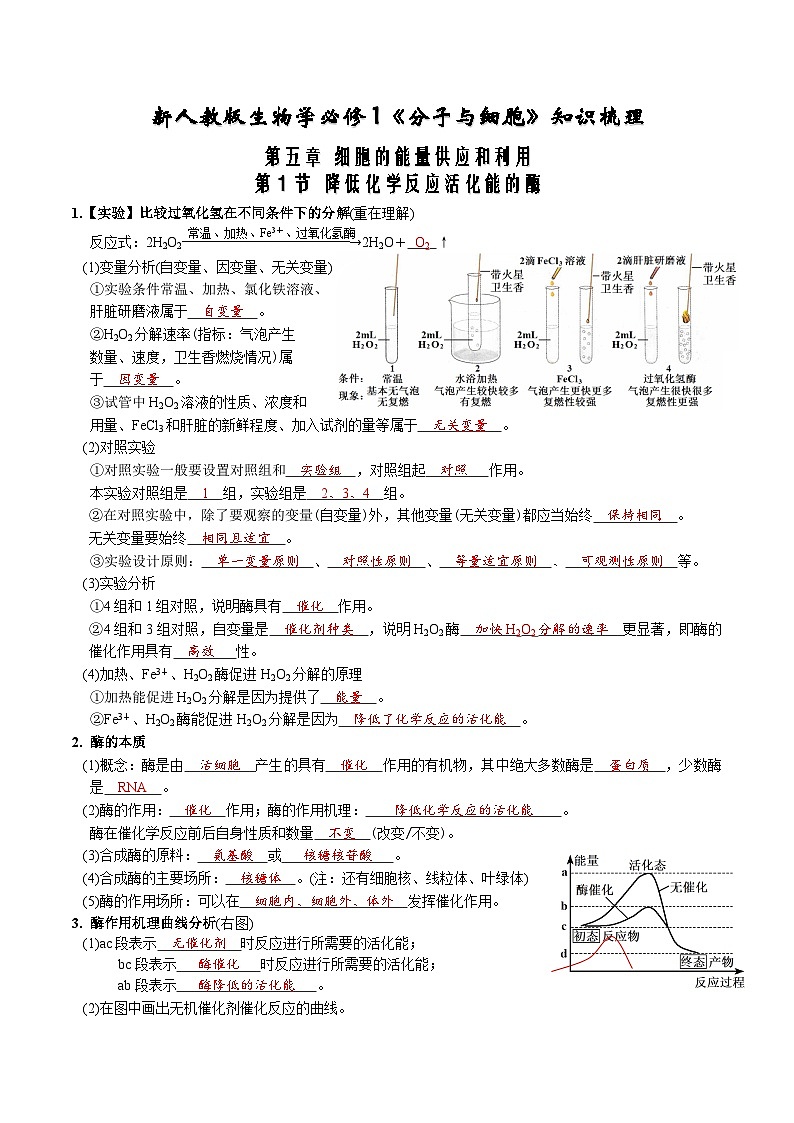 第5章 细胞的能量供应和利用-【必背知识】高一生物章节知识梳理（人教版必修第一册）（背诵版）第1页