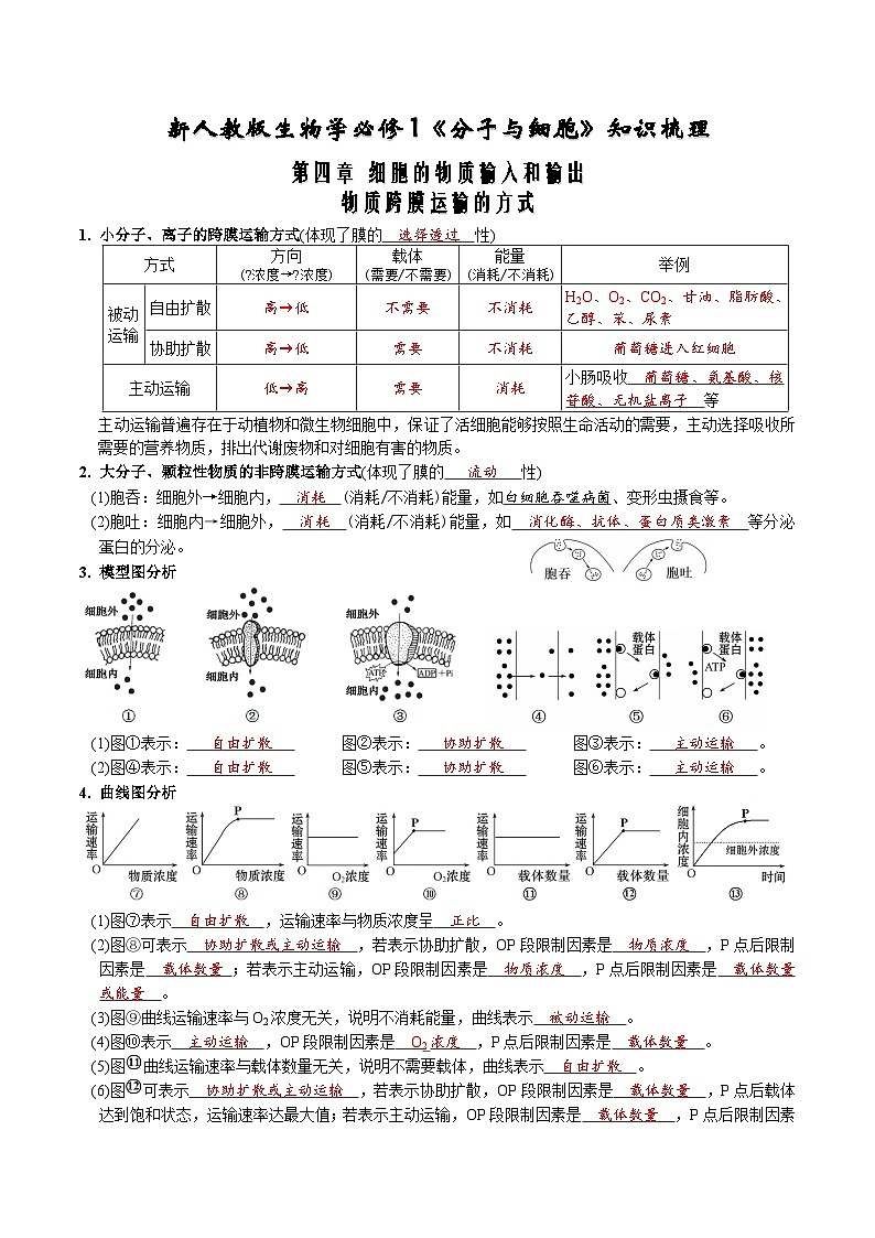 第4章 细胞的物质输入和输出-【必背知识】高一生物章节知识梳理（人教版必修第一册）（背诵版）第1页
