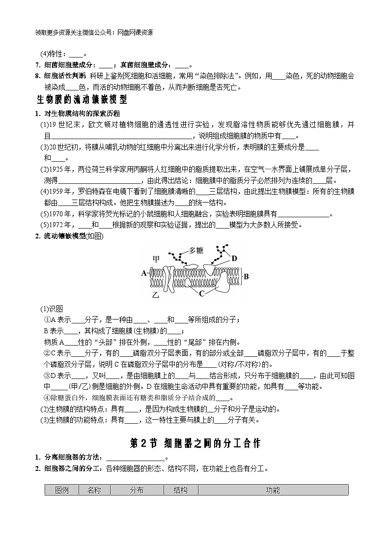 第3章 细胞的基本结构-【必背知识】高一生物章节知识梳理（人教版必修第一册）（填空版）第2页
