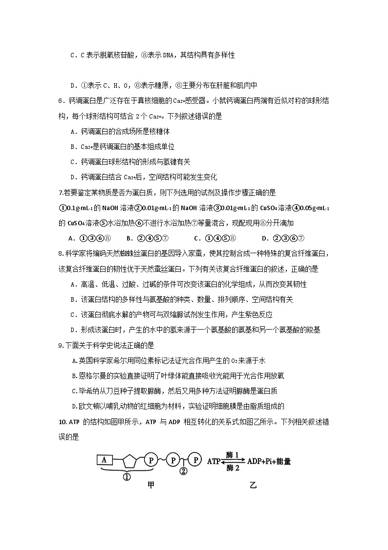 四川省眉山市2024-2025学年高一上学期1月期末联考试题 生物（有答案）第2页