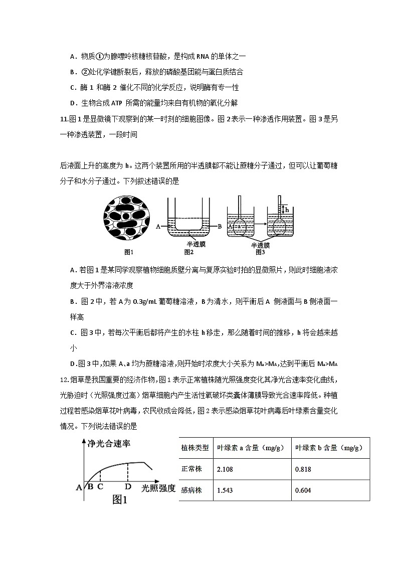 四川省眉山市2024-2025学年高一上学期1月期末联考试题 生物（有答案）第3页