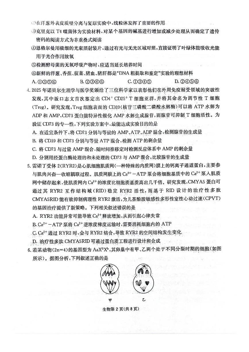 生物-四川省绵阳南山中学高2023级高三上学期11月第四次教学质量检测试题及答案第2页