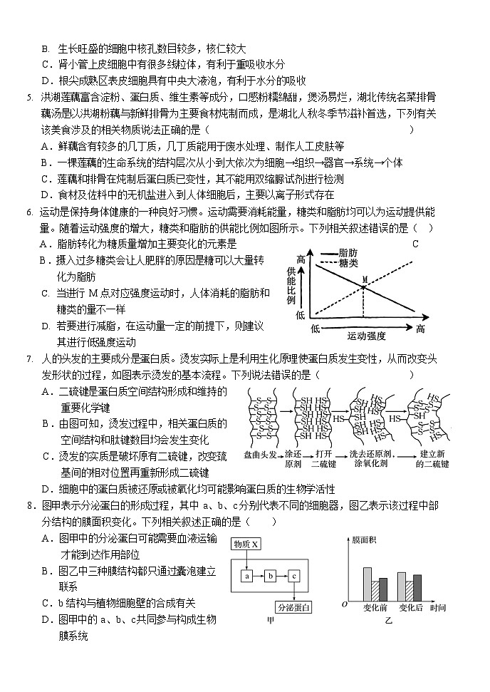 湖北省荆州市沙市中学2025-2026学年高一上学期11月期中考试生物试卷第2页