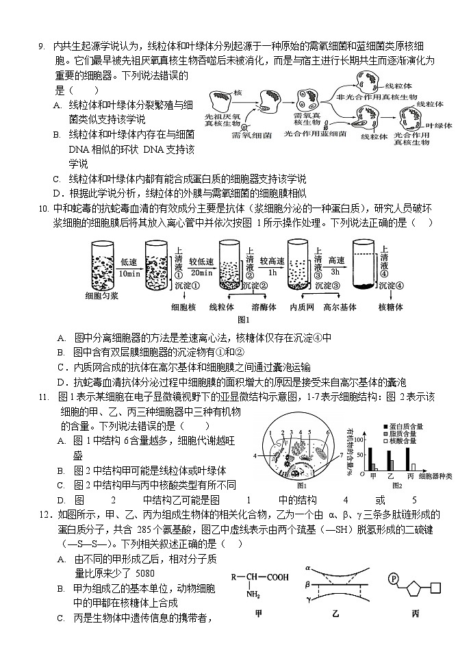 湖北省荆州市沙市中学2025-2026学年高一上学期11月期中考试生物试卷第3页