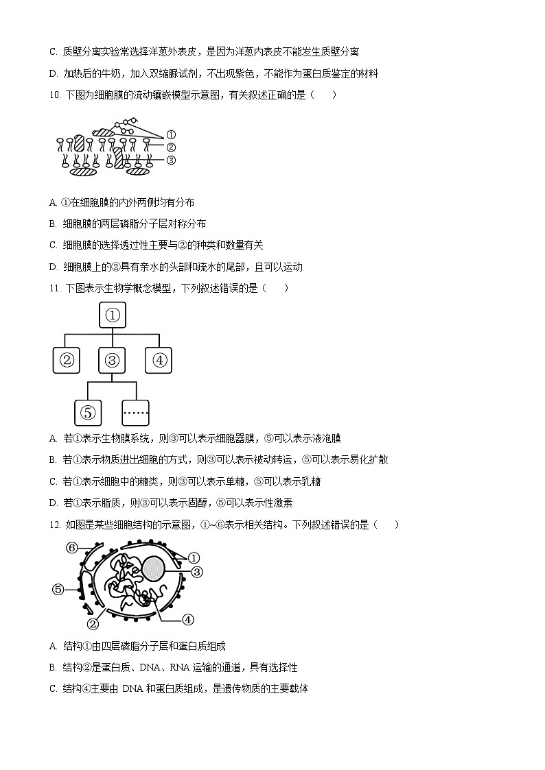浙江省北斗联盟2025-2026学年高一上学期11月期中考试生物试卷第3页