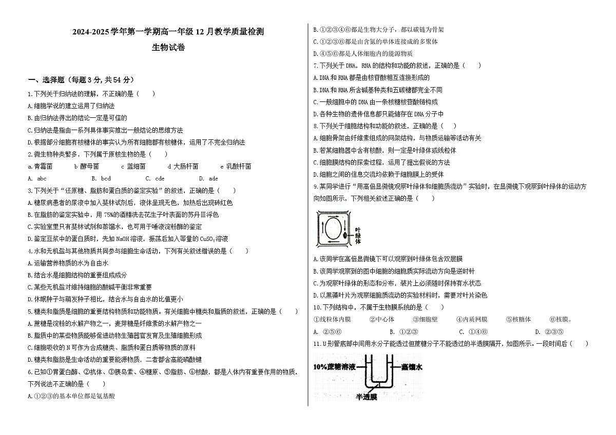 安徽省阜阳市临泉县田家炳实验中学2024-2025学年高一上学期12月月考生物试题第1页