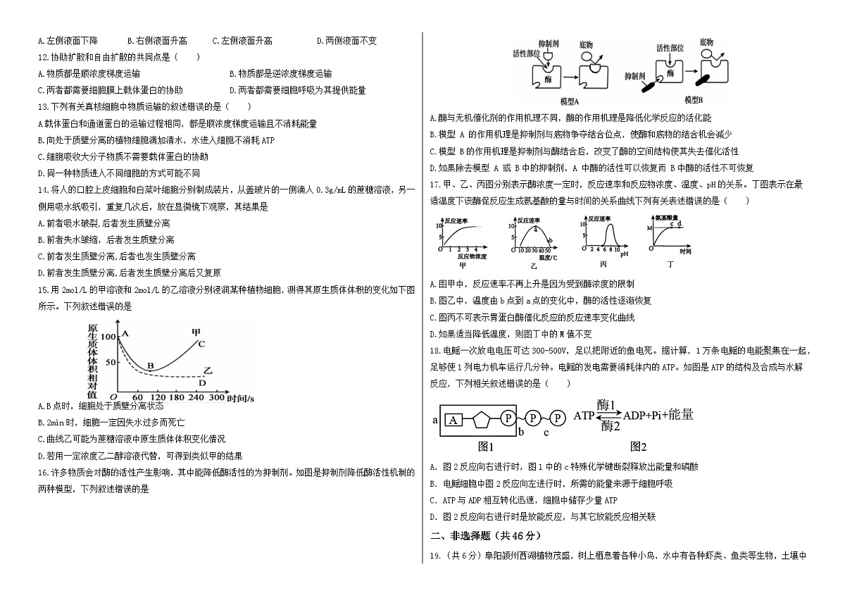 安徽省阜阳市临泉县田家炳实验中学2024-2025学年高一上学期12月月考生物试题第2页