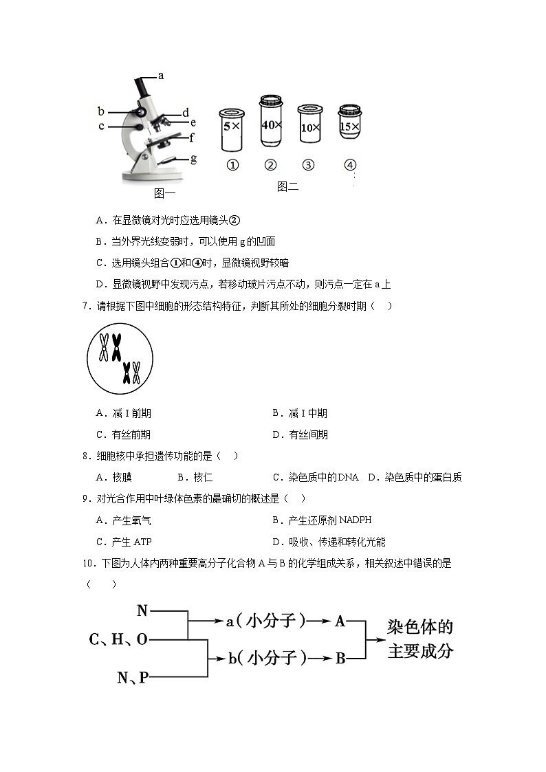 安徽省六安市裕安区六安市独山中学2024-2025学年高二上学期12月月考生物试题第2页