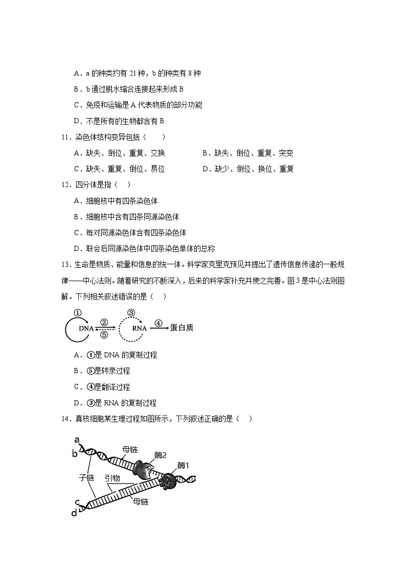 安徽省六安市裕安区六安市独山中学2024-2025学年高二上学期12月月考生物试题第3页