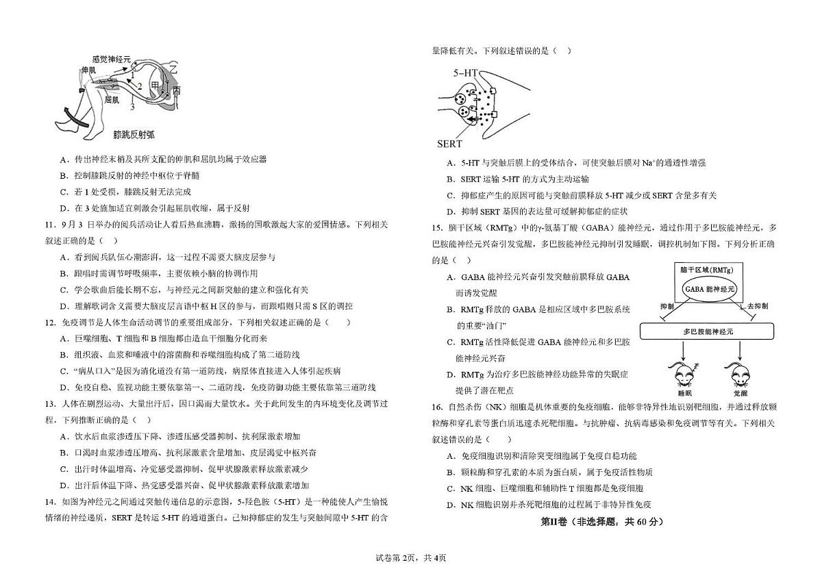 广东省东莞市四校联考2025-2026学年高二上学期10月月考生物试卷（PDF版附答案）第2页