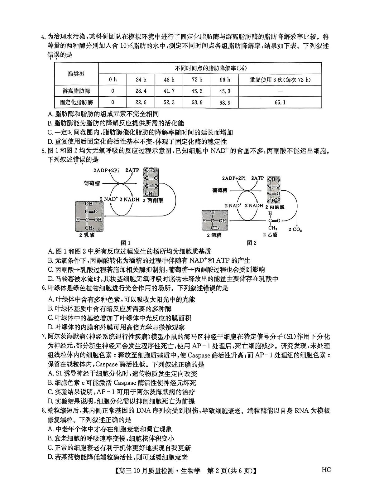 黑龙江省九师联盟2026届高三上学期10月月考生物试卷（PDF版附解析）第2页