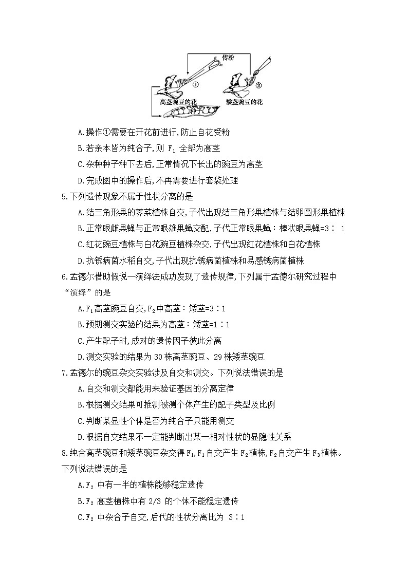 安徽省阜阳市临泉县安徽省临泉田家炳实验中学2024-2025学年高一下学期3月月考生物试题第2页