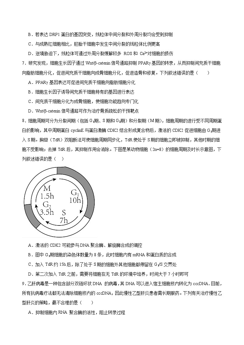山东省德州市2026届高三上学期10月校际联考（二）生物试卷（Word版附答案）第3页