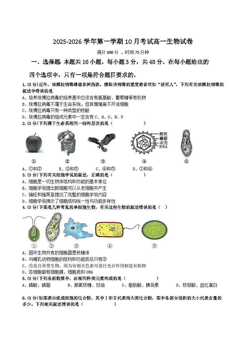 山西省晋中市部分学校2025-2026学年高一上学期10月检测生物试卷（Word版附解析）第1页