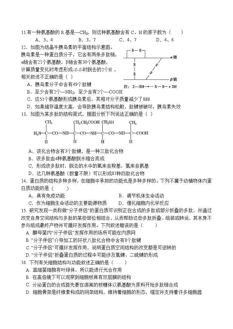 福建省厦泉五校2025-2026学年高一上学期期中联考 生物试卷（含答案）第3页