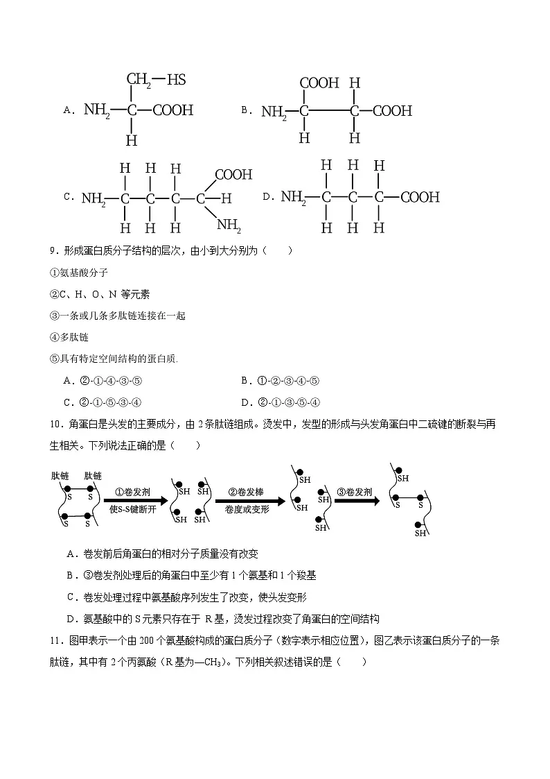 江苏省徐州市2025-2026学年高一上学期期中考试 生物试卷（含答案）第2页