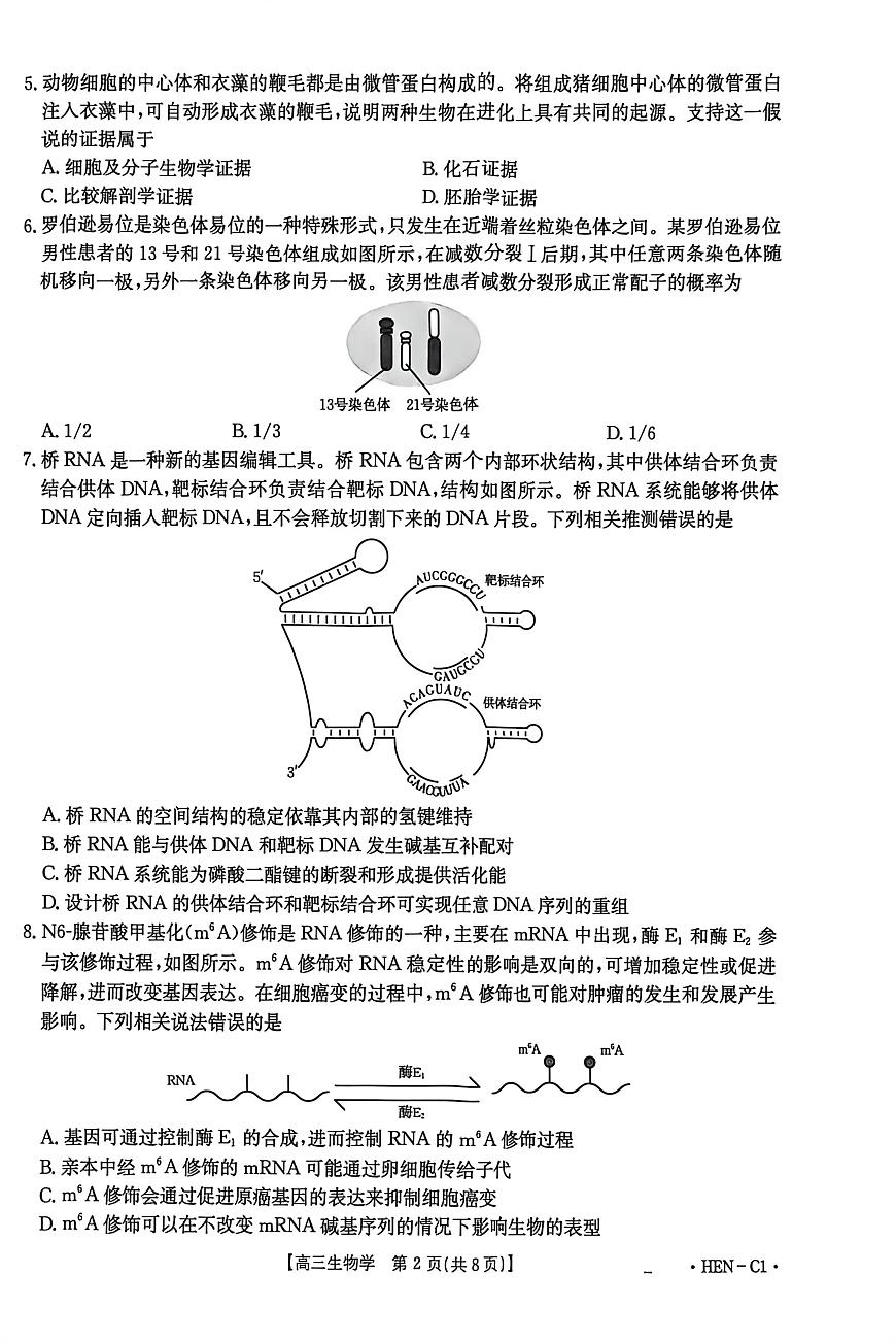 河南省2026届高三上学期11月联考（HEN）生物第2页