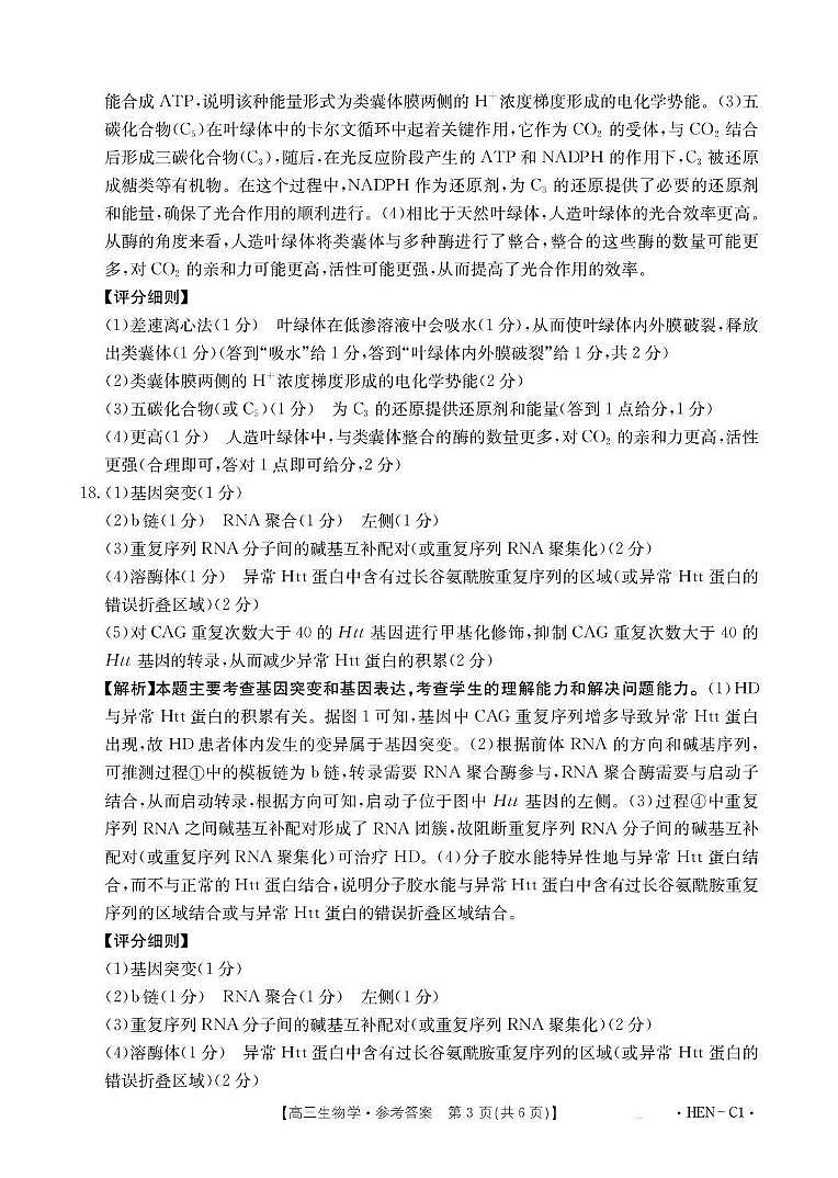 河南省2026届高三上学期11月联考（HEN）生物答案第3页