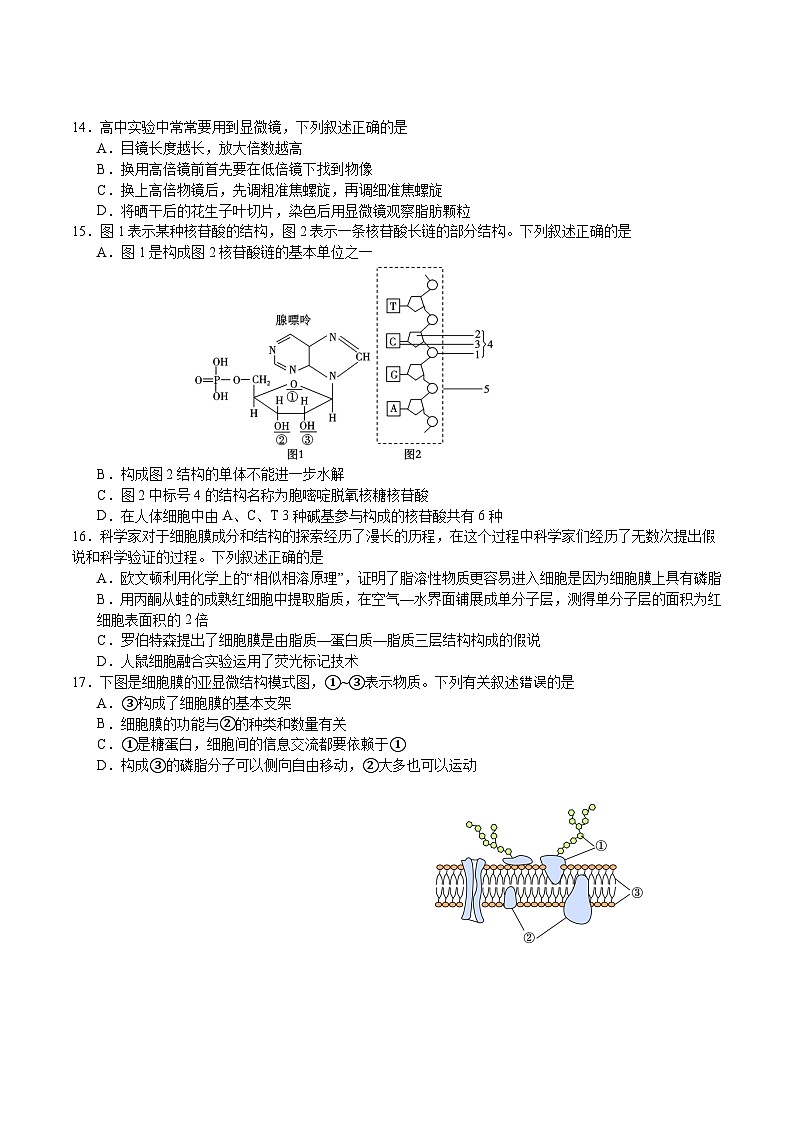 江苏省扬州市重点高中2025-2026学年高一上学期11月生物期中调研考试 （含答案）第3页