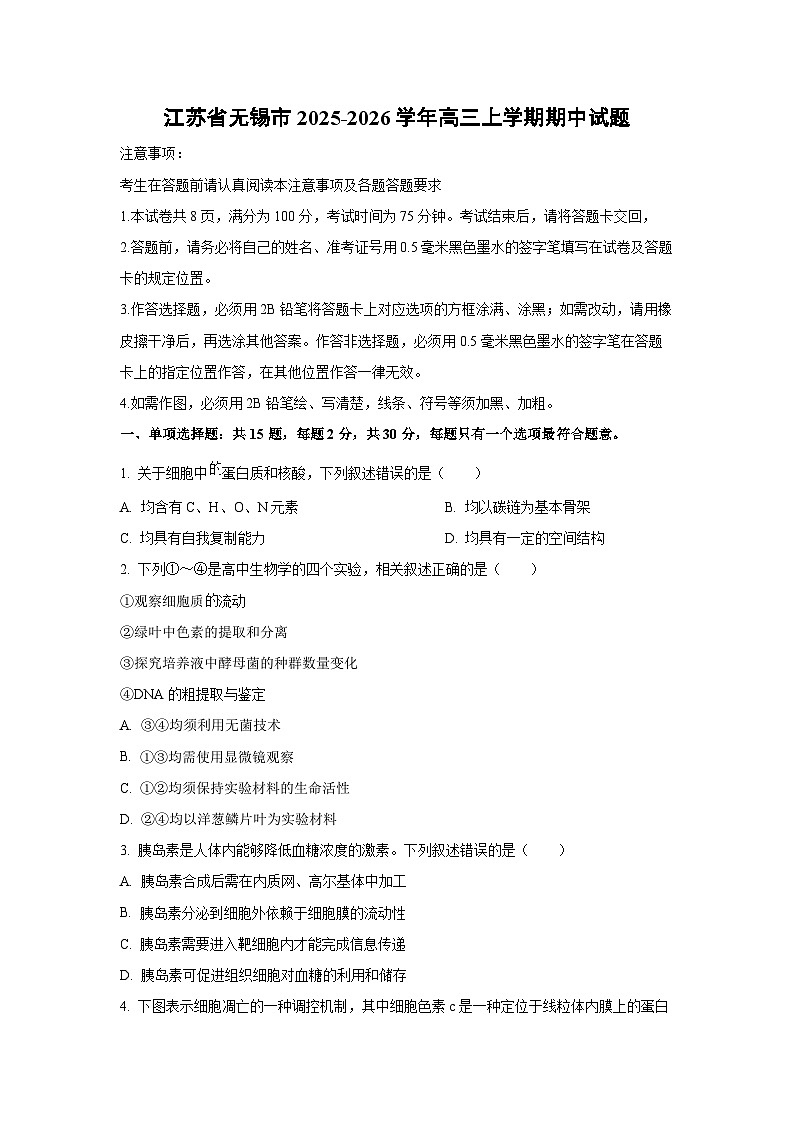 江苏省无锡市2025-2026学年高三上学期期中生物试题（学生版）第1页